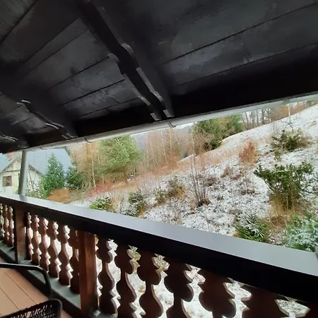 Krokus * مينزغوجة