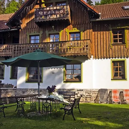 Krokus مينزغوجة