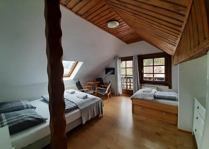 Krokus ミエンジグジェ