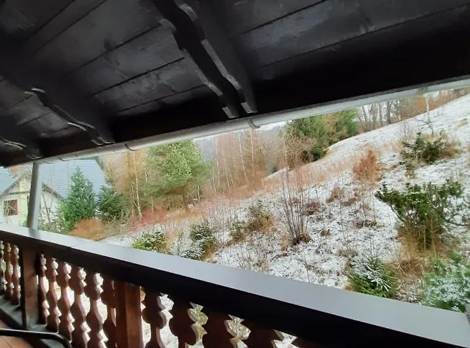 Krokus * Międzygórze