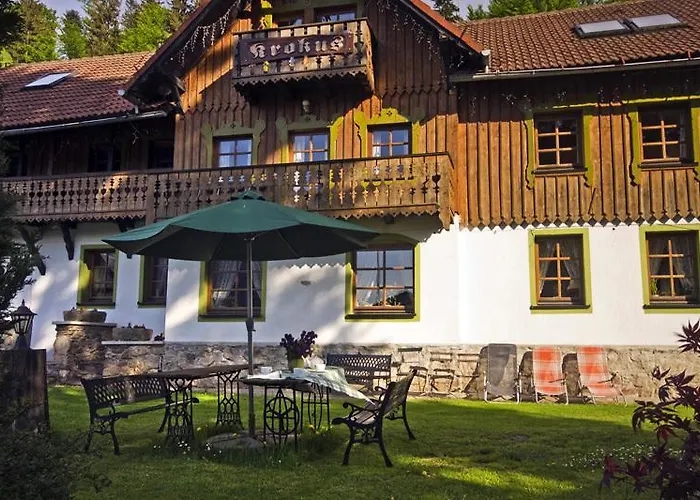 Krokus ミエンジグジェ